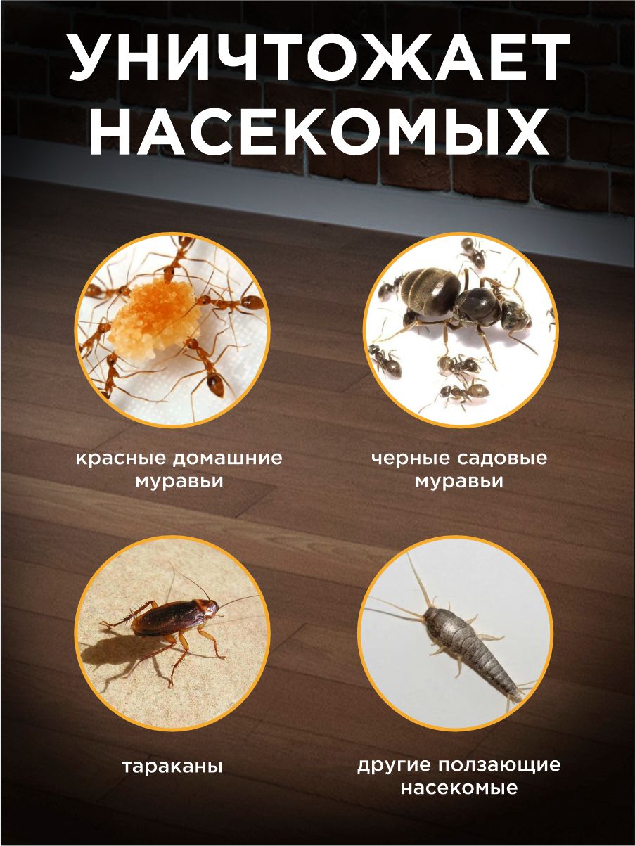 Гель от домашних муравьев 30г шприц-дозатор от Домовой Прошка + 2