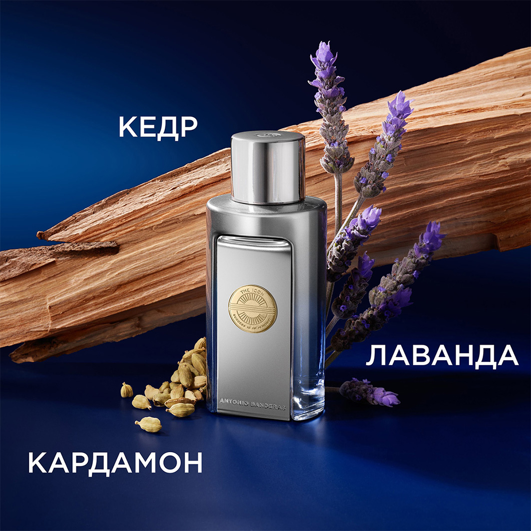 The Icon Elixir Парфюмерная вода мужская 50мл от BANDERAS + 4
