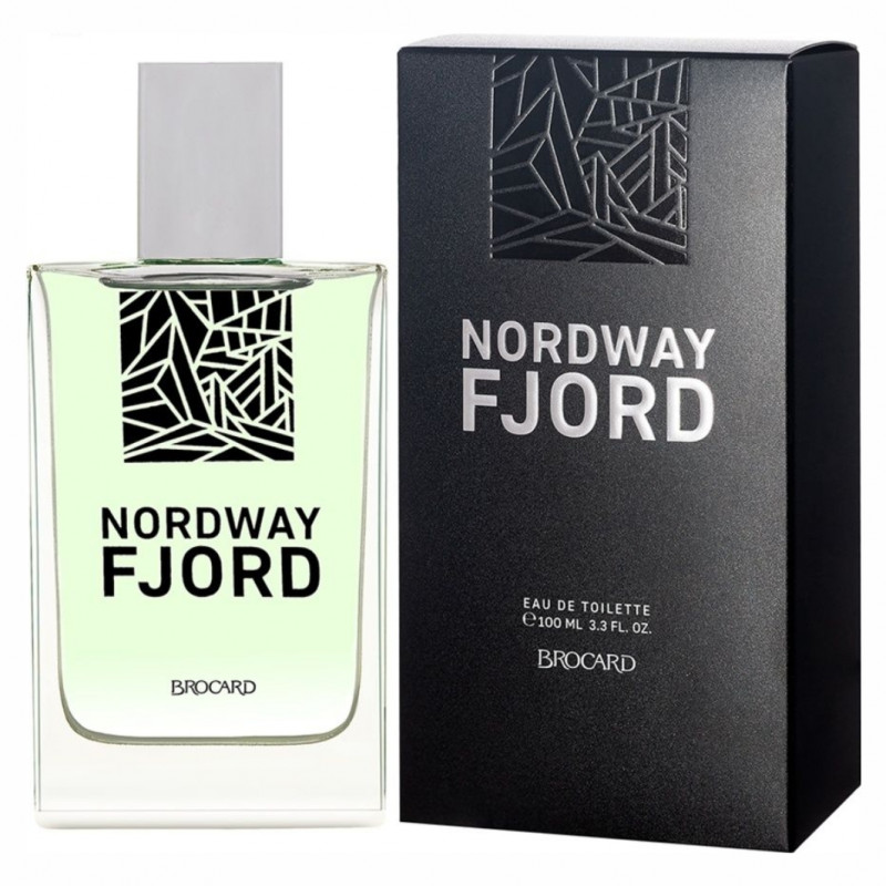 Туалетная вода мужская Nord Way Fjord 100мл  от Brocard + 1