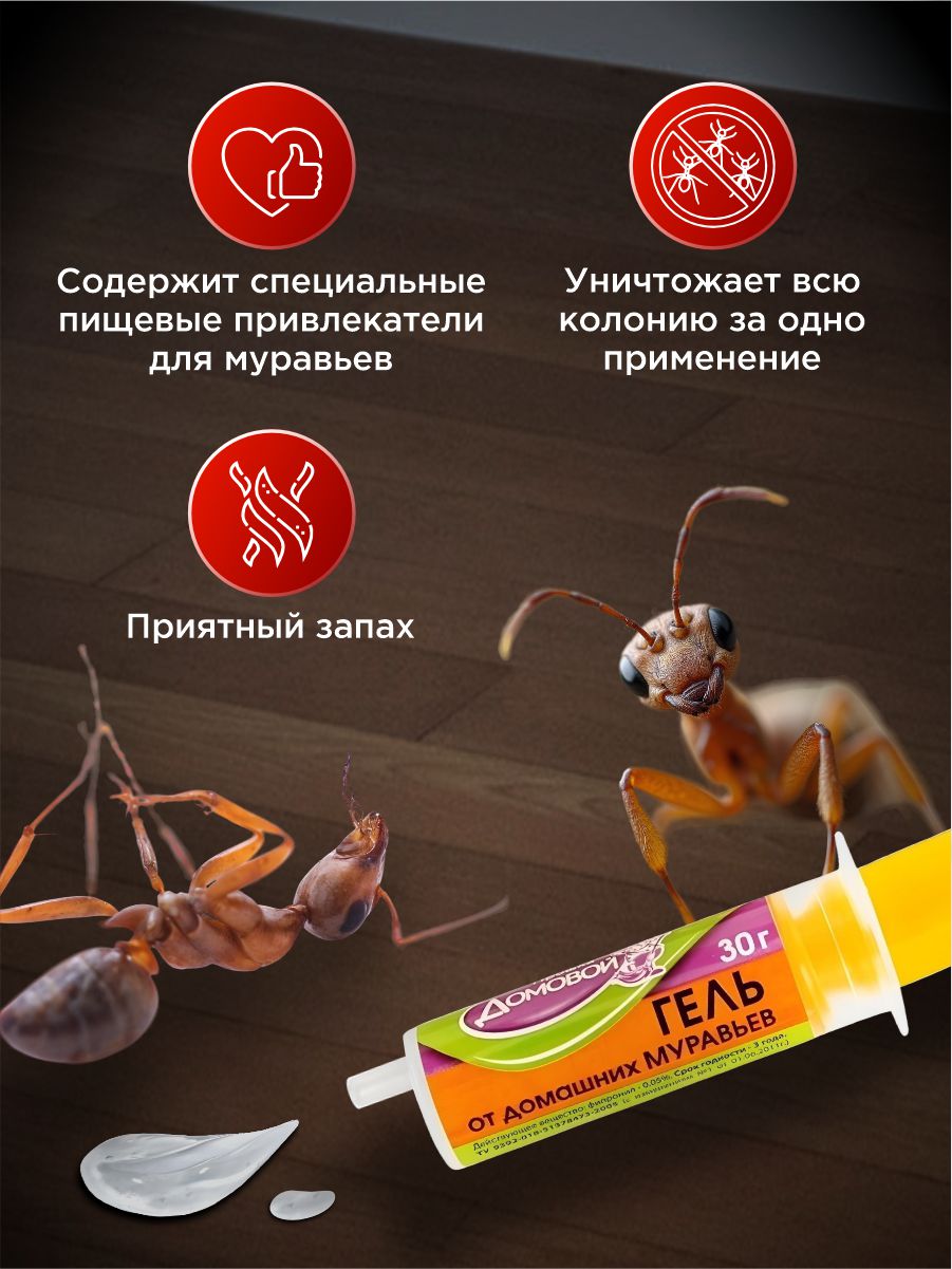 Гель от домашних муравьев 30г шприц-дозатор от Домовой Прошка + 3