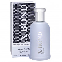 Туалетная вода мужская X-Bond Silver 100мл 