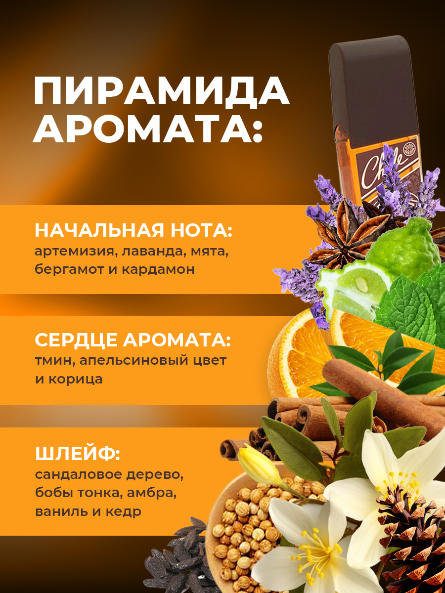 Туалетная вода мужская Chale Wiskarik 100мл  от Alain Aregon + 4