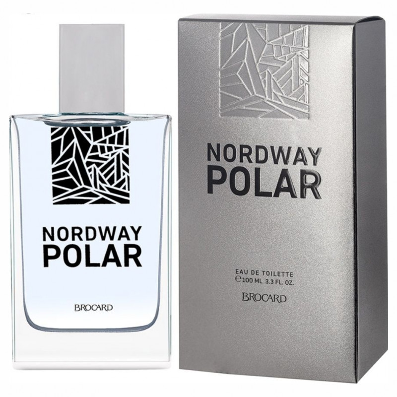 Туалетная вода мужская Nordway Polar 100мл  от Brocard + 1
