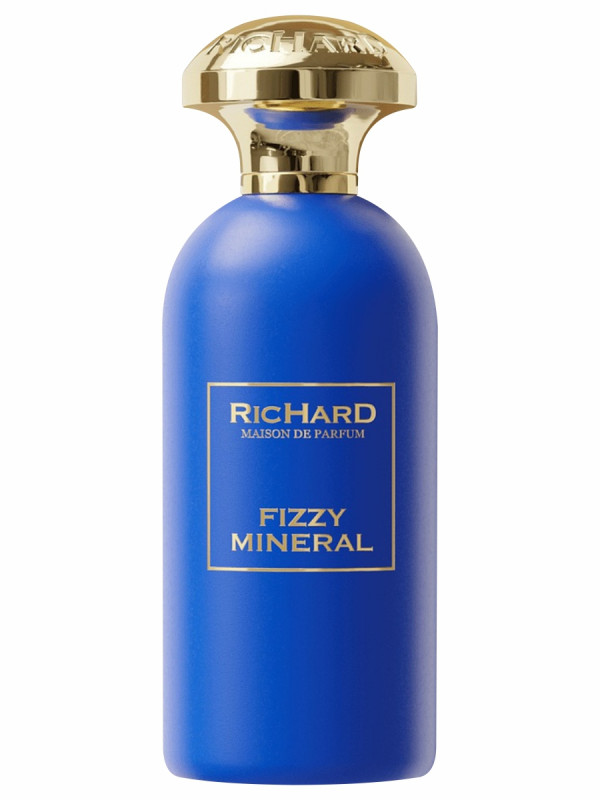 Fizzy Mineral Парфюмерная вода 100мл от Richard maison de parfum + 1