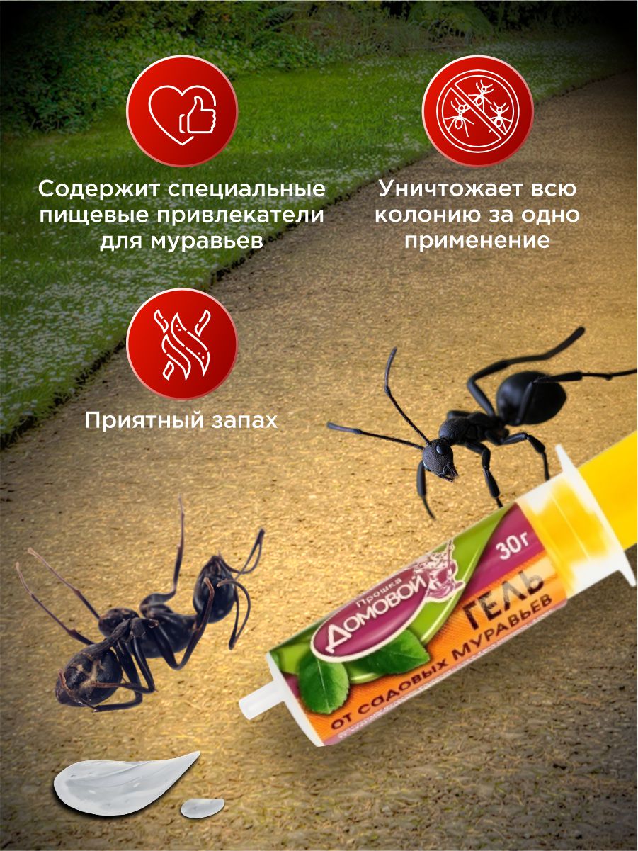 Гель от садовых муравьев 30г шприц-дозатор от Домовой Прошка + 3