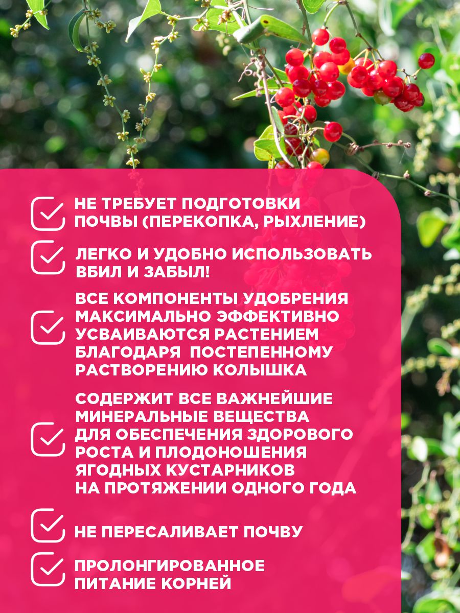 Удобрение Ракета для плодово-ягодных кустарников (колышки) 420г от Био-комплекс + 5