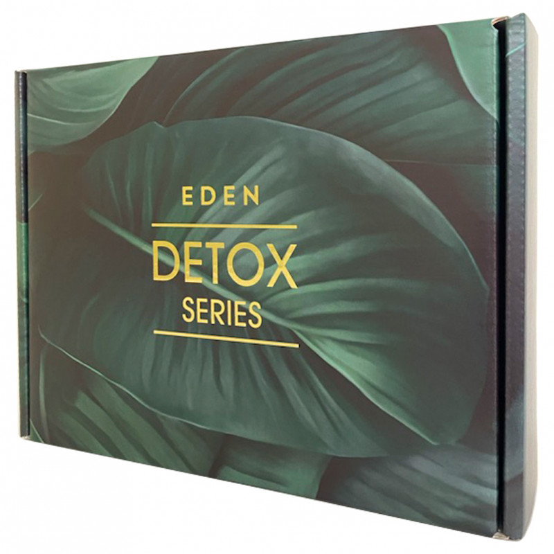 Detox Шкатулка 245*195*65мм от EDEN + 1