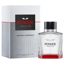 Power of Seduction Туалетная вода мужская 100мл 
