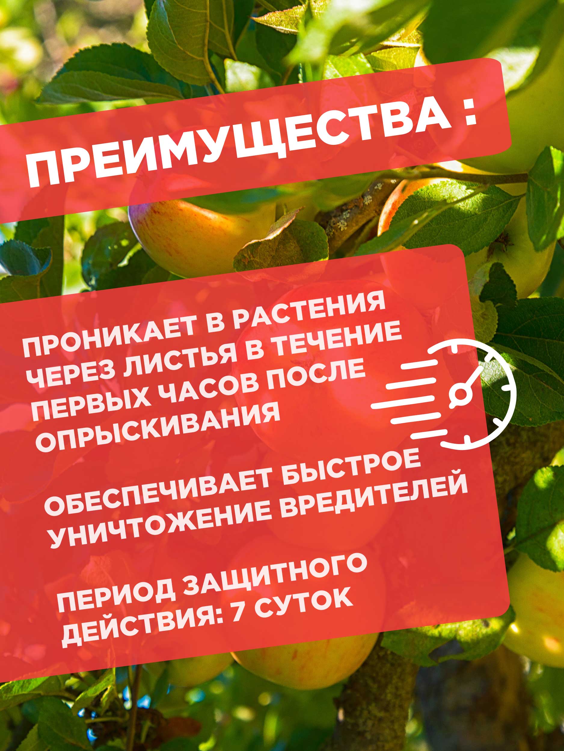 Аккорд Средство от вредителей 1мл ампула от Joy + 3