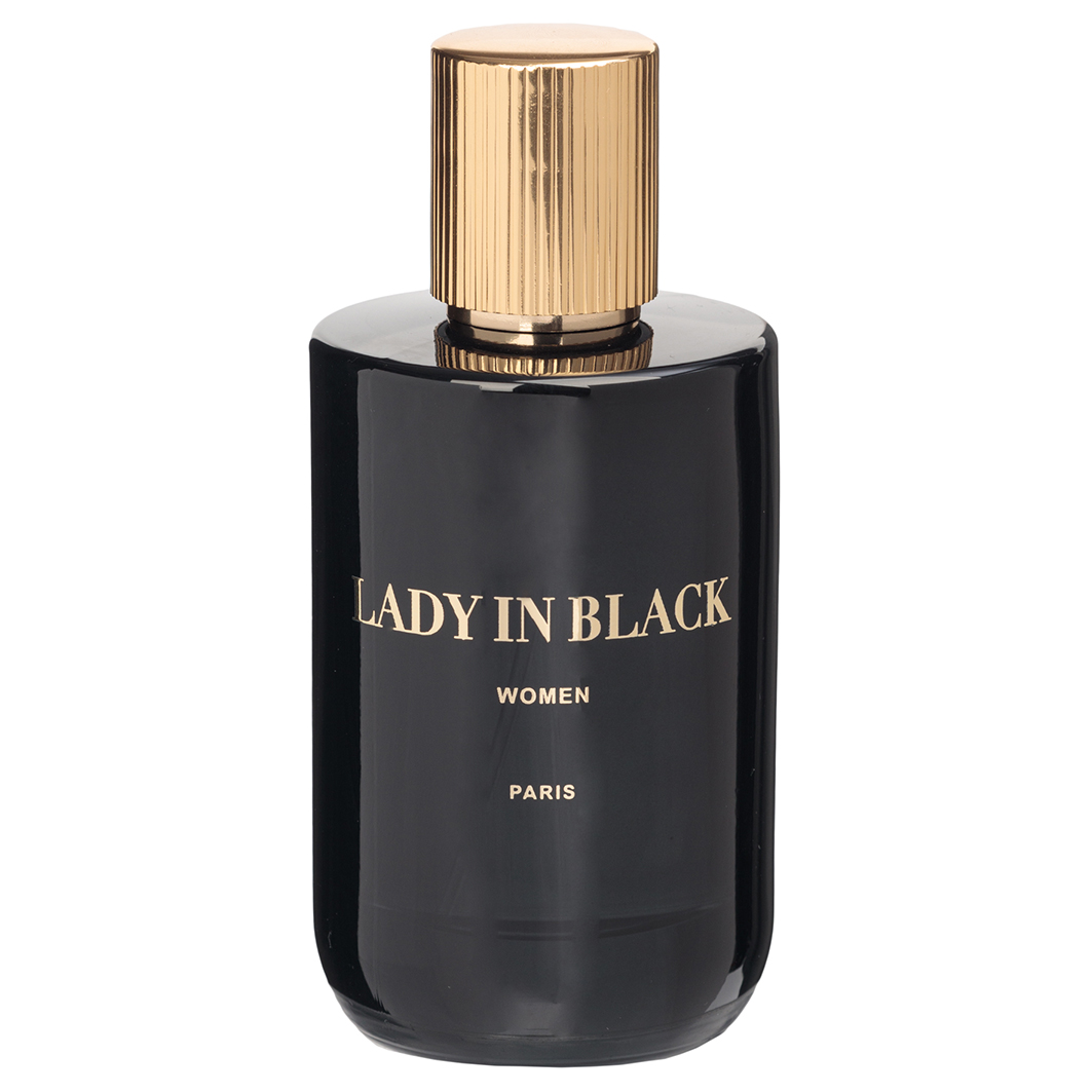 Парфюмерная вода женская Lady In Black 100мл от Geparlys + 3