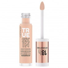 Консилер True Skin High Cover, тон 010 Cool Cashmere