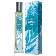 Day Dreams Туалетная вода женская Water Ivy 55мл