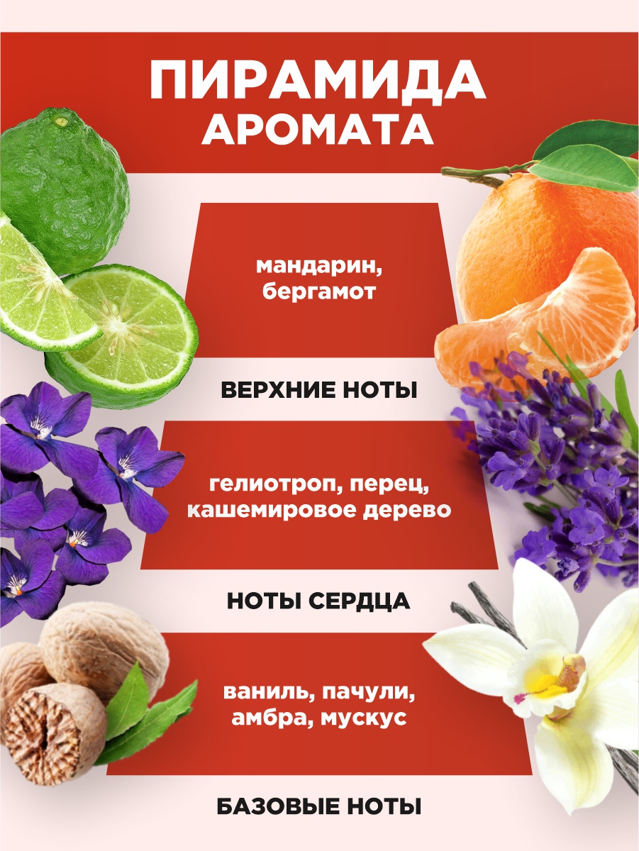Туалетная вода женская Vanilla Patchouli 50мл  от Sergio Nero + 4