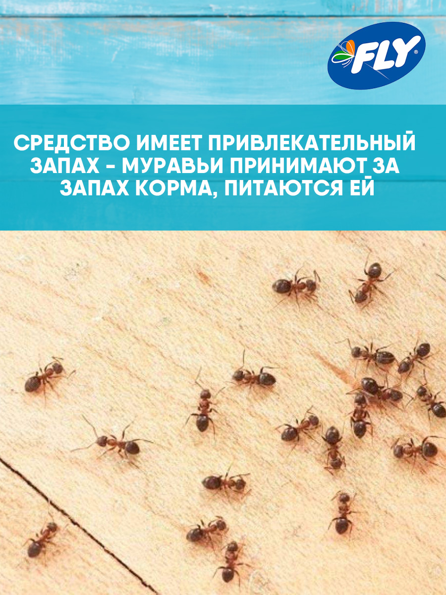 Fly Приманка от муравьев 20г (30шт/кор) от FLY + 3