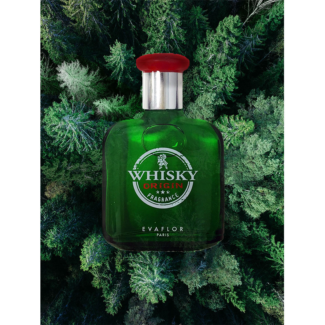 Туалетная вода мужская Whisky Origin 100мл  от Evaflor + 5
