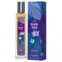 Day Dreams Туалетная вода женская Black Tulip 55мл