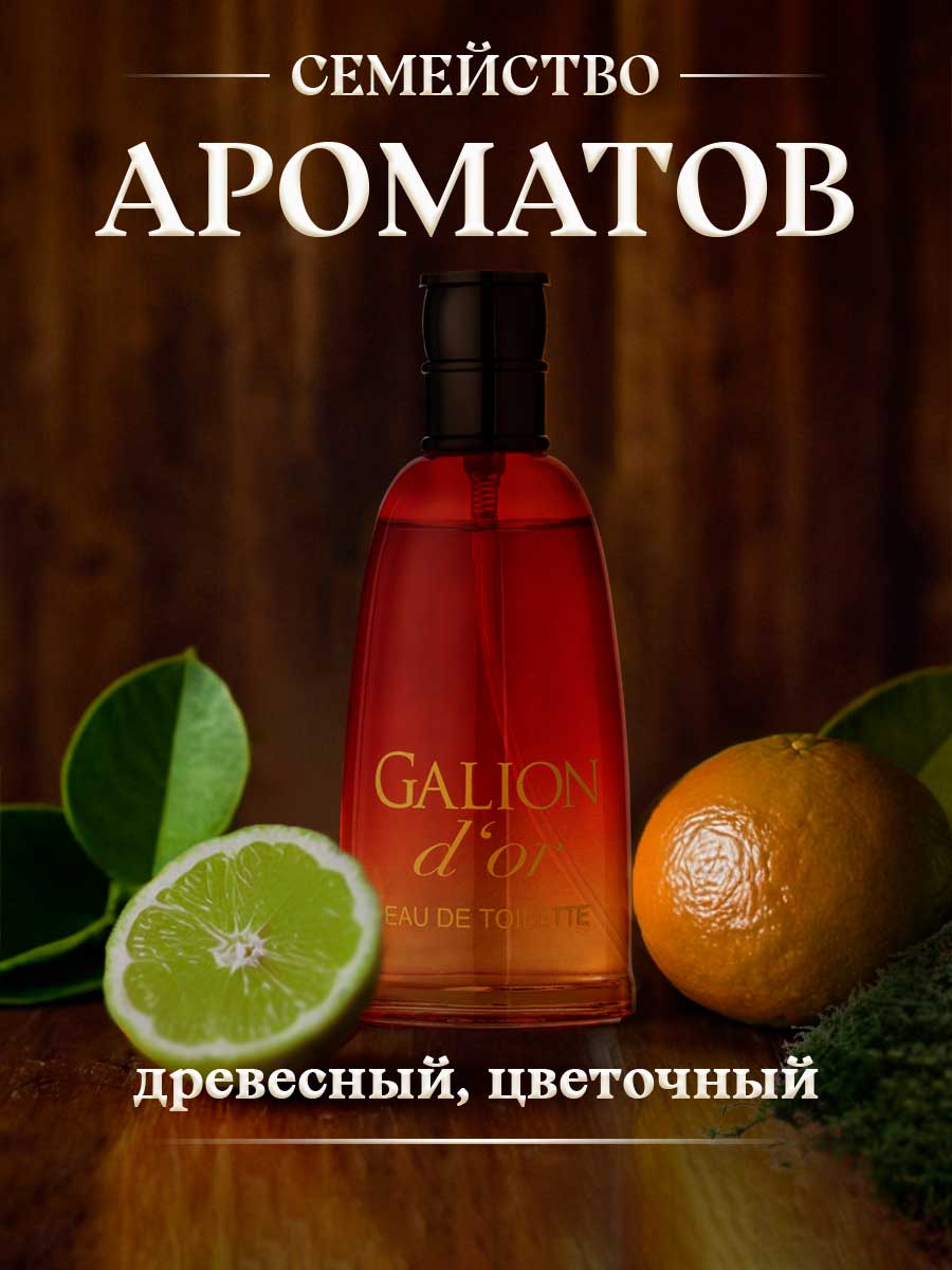 Туалетная вода мужская Золотой Галион 100мл в футляре от Новая заря + 6